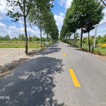 Bán đất mặt tiền đường ấp 10, xã Lương Hòa dt 2900m2 (300m2 thổ ) giá 13 tỷ